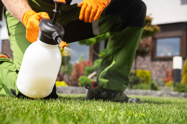 Flea Control Services in Eatontown, NJ