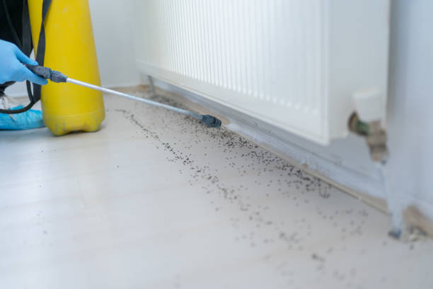 Professional Pest Control in Eatontown, NJ